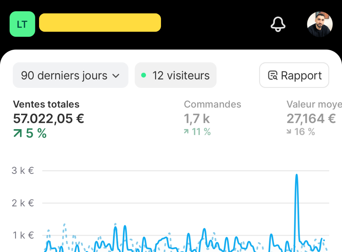 Résultats Shopify Les Bijoux de Théa